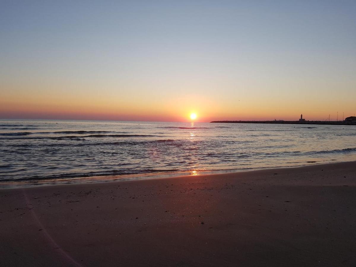 Gioia Sea View Lägenhet Năvodari Exteriör bild